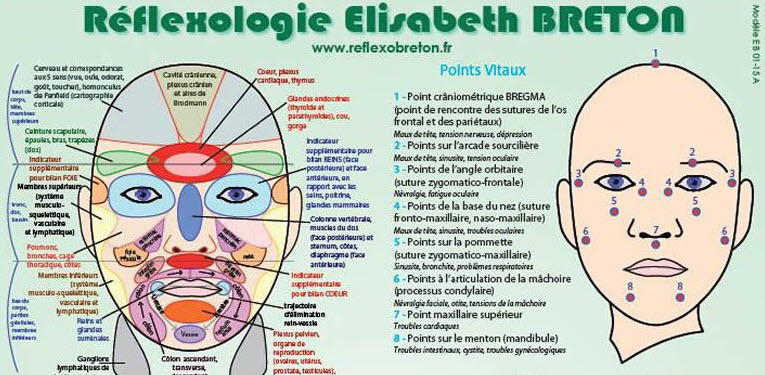 Réflexologie visage et crane Elisabeth Breton